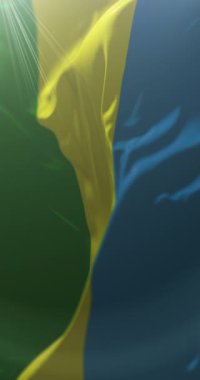 Bagua Eyaleti bayrağı, Peru. Döngü. 4K Dikey