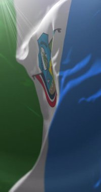 Boqueron Departmanı Bayrağı, Paraguay. Döngü. 4K Dikey