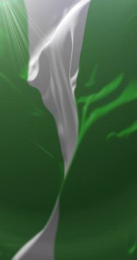 Başkan Hayes 'in Bayrağı, Uruguay. Döngü. 4K Dikey