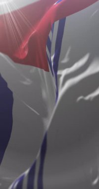 Sanatsal Sanatlar Departmanı Bayrağı, Uruguay. Döngü. 4K Dikey