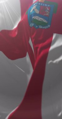 Florida Departmanı Bayrağı, Uruguay. Döngü. 4K Dikey