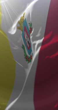 Heredia bayrağı, Kosta Rika. Döngü. 4K Dikey