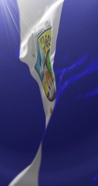 Ahuachapan bayrağı, El Salvador. Döngü. 4K Dikey