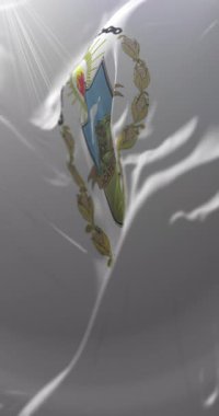 Zacatecoluca bayrağı, El Salvador. Döngü. 4K Dikey