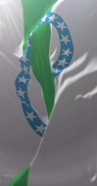 Olancho Departmanı Bayrağı, Honduras. Döngü. 4K Dikey