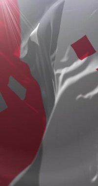 Cocle Eyaleti Bayrağı, Panama. Döngü. 4K Dikey