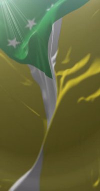 Panama Oeste Eyaleti Bayrağı, Panama. Döngü. 4K Dikey