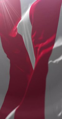 St. Nad Labem Şehri bayrağı, Çek Cumhuriyeti. Döngü. 4K Dikey