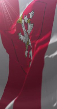 Çek Cumhuriyeti Arms Coat 'lu St. Nad Labem City bayrağı. Döngü. 4K Dikey