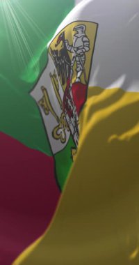 Çek Cumhuriyeti, Arms Coat 'lu Plzen bayrağı. Döngü. 4K Dikey