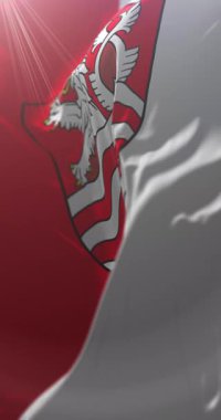 Çek Cumhuriyeti 'nden Karlovy Vary bayrağı. Döngü. 4K Dikey