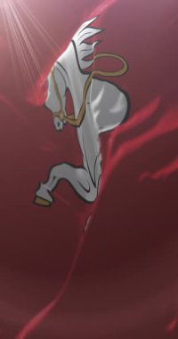 Pardubice Bayrağı, Çek Cumhuriyeti. Döngü. 4K Dikey