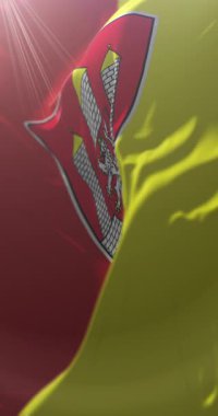 Ceske Budejovice Şehir Bayrağı, Çek Cumhuriyeti. Döngü. 4K Dikey