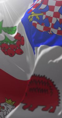 Vysocina Bölgesi Bayrağı, Çek Cumhuriyeti. Döngü. 4K Dikey