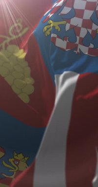 Güney Moravya Bölgesi Bayrağı, Çek Cumhuriyeti. Döngü. 4K Dikey