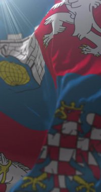 Çek Cumhuriyeti, Pardubice Bölgesi Bayrağı. Döngü. 4K Dikey