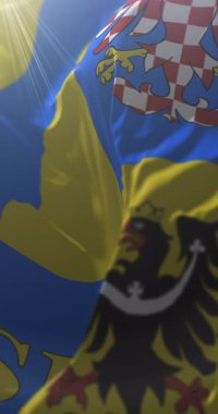 Çek Cumhuriyeti, Olomouc Bölgesi bayrağı. Döngü. 4K Dikey