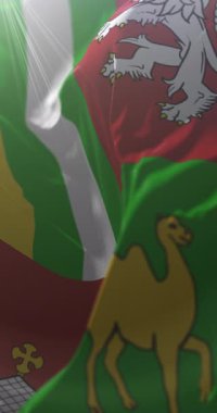 Çek Cumhuriyeti, Plzen Bölgesi bayrağı. Döngü. 4K Dikey