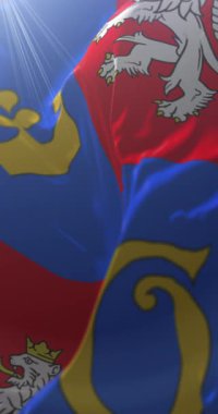 Çek Cumhuriyeti 'nin Hradec Kralove Bölgesi bayrağı. Döngü. 4K Dikey