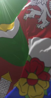 Güney Bohemya Bölgesi bayrağı, Çek Cumhuriyeti. Döngü. 4K Dikey