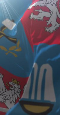 Çek Cumhuriyeti, Karlovy Vary Bölgesi bayrağı. Döngü. 4K Dikey