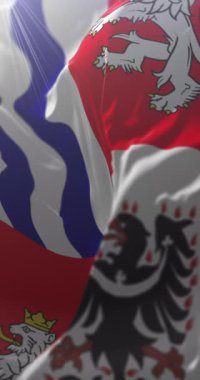 Merkez Bohem Bölgesi Bayrağı, Çek Cumhuriyeti. Döngü. 4K Dikey