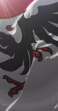 Aarau bayrağı, İsviçre. Döngü. 4K Dikey