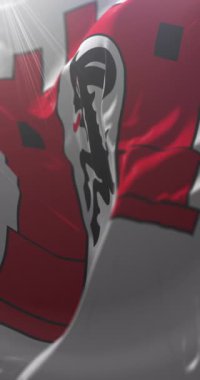 Chur bayrağı, İsviçre. Döngü. 4K Dikey