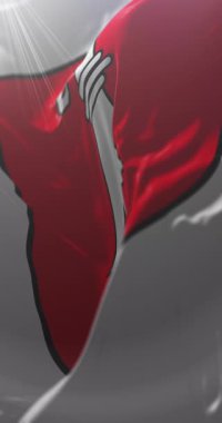 Delemont, İsviçre bayrağı. Döngü. 4K Dikey