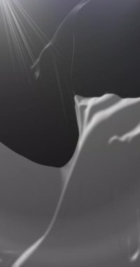 Fribourg Flag Kantonu, İsviçre. Döngü. 4K Dikey