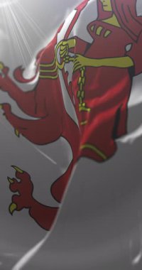 Frauenfeld, İsviçre bayrağı. Döngü. 4K Dikey