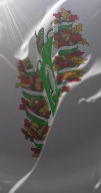 Rusya 'nın Tomsk Oblastı' nın federal bayrağı. Döngü. 4K Dikey