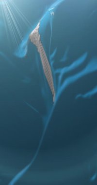 Ulyanovsk Oblastı bayrağı, Rusya. Döngü. 4K Dikey