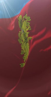 Rusya 'nın Vladimir Oblastı federal bayrağı. Döngü. 4K Dikey