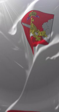 Rusya 'nın Vologda Oblastı federal bayrağı. Döngü. 4K Dikey