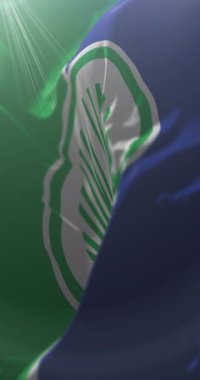 Bor, Sırbistan bayrağı. Döngü. 4K Dikey