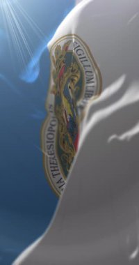 Subotica bayrağı, Moldova. Döngü. 4K Dikey