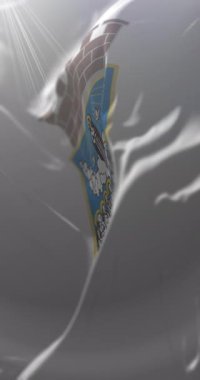 Sırbistan 'ın Zrenjanin bayrağı. Döngü. 4K Dikey