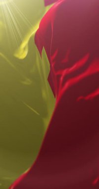 Moldova 'nın Cahul ilçesi bayrağı. Döngü. 4K Dikey