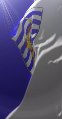 Balti şehrinin bayrağı, Moldova. Döngü. 4K Dikey