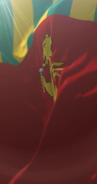 Moldova 'nın Basarabeasca ilçesi bayrağı. Döngü. 4K Dikey