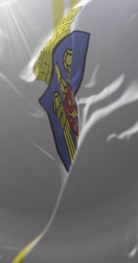 Chisinau bayrağı, Moldova Cumhuriyeti 'nin başkenti. Döngü. 4K Dikey