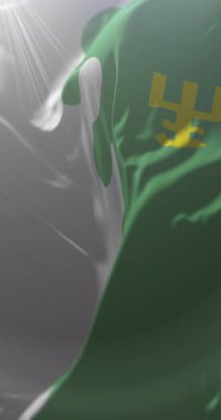 Moldova, Edinet Bölgesi bayrağı. Döngü. 4K Dikey