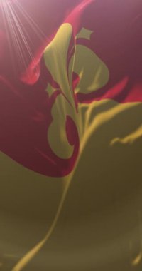 Raionul Floresti Bölgesi, Moldova bayrağı. Döngü. 4K Dikey