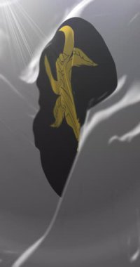 Glodeni Bölgesi bayrağı, Moldova. Döngü. 4K Dikey