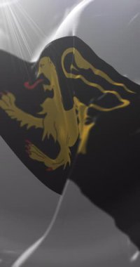 Moldova 'nın Leova ilçesi bayrağı. Döngü. 4K Dikey