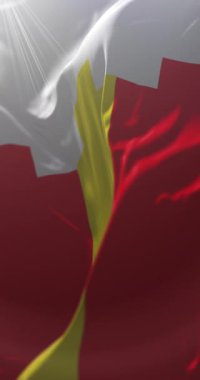 Moldova 'nın Soroca ilçesi bayrağı. Döngü. 4K Dikey