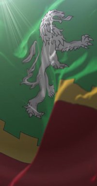 Taraclia Bölgesi bayrağı, Moldova. Döngü. 4K Dikey