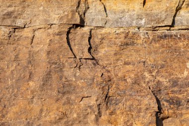 Stone texture detail, close up shot of rock surface for background and design.
