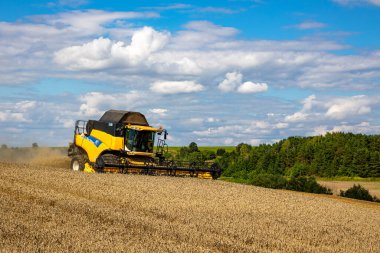 Ukrayna. Kyiv. 20 Ağustos 2022. Hasat işçisi New Holland 'ın olgunlaşmış buğday hasadını birleştirin. 
